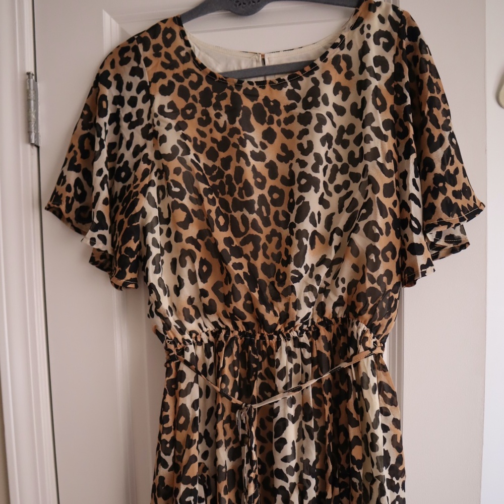 Wild For This Dress